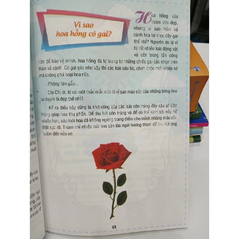 Tại Sao Và Như Thế Nào 549651
