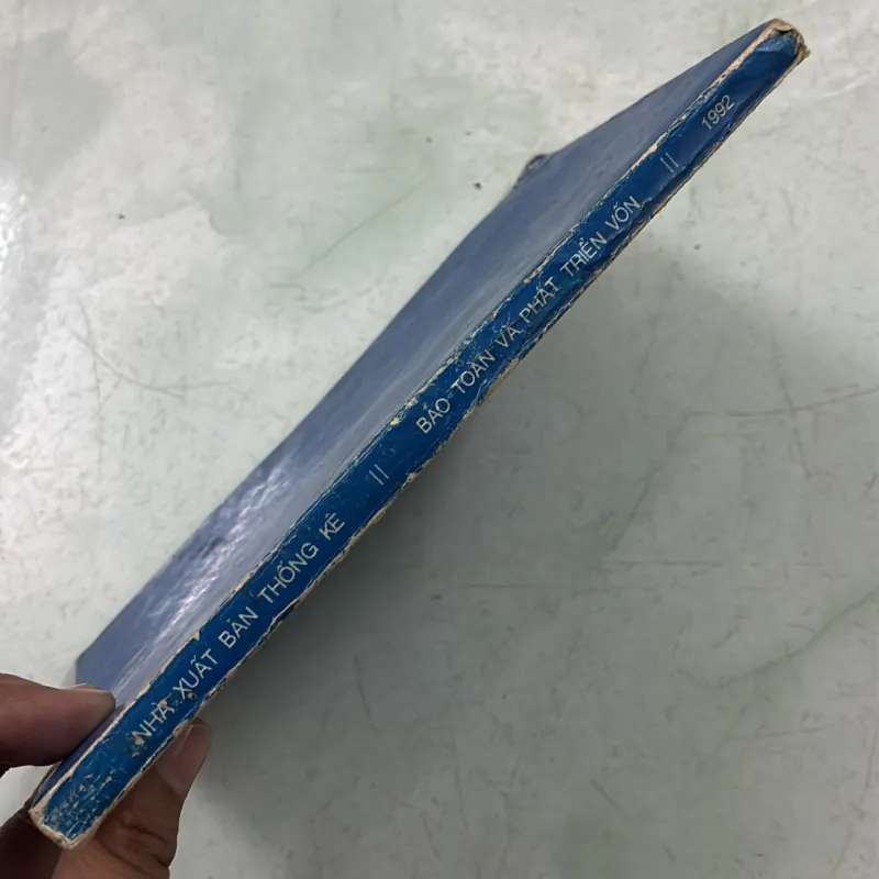 Bảo toàn và phát triển vốn 1011437