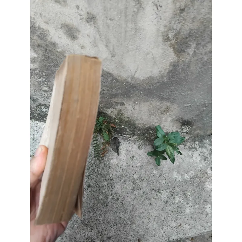 Thơ văn Nguyễn Bỉnh Khiêm  1022819