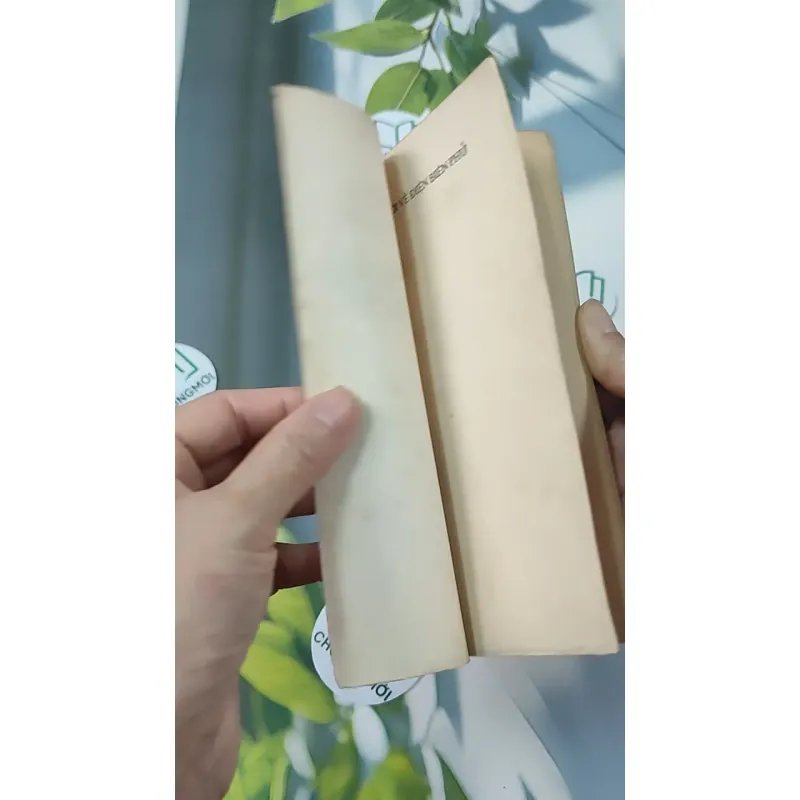 [XƯA] Việt Nam Cuộc Chiến Tranh Mười Ngàn Ngày - Hồ Sơ Mới Về Điện Biên Phủ (1989) - Michael Maclear 776008