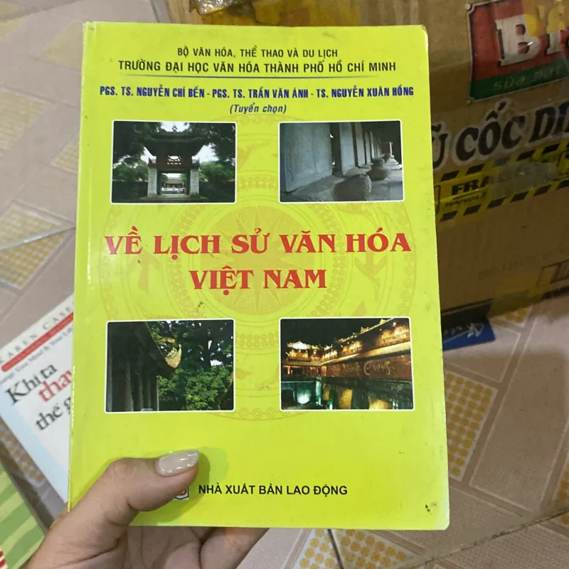 Về lịch sử văn hóa Việt Nam  783068