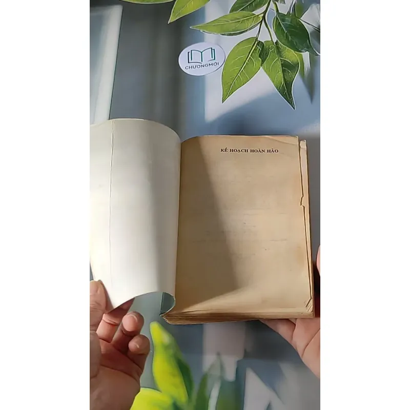 Kế Hoạch Hoàn Hảo (1999) - Sidney Sheldon 607694