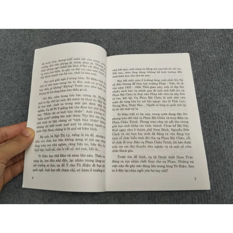 CÂY ĐÀO TÔ HIỆU - VIẾT LINH 990645