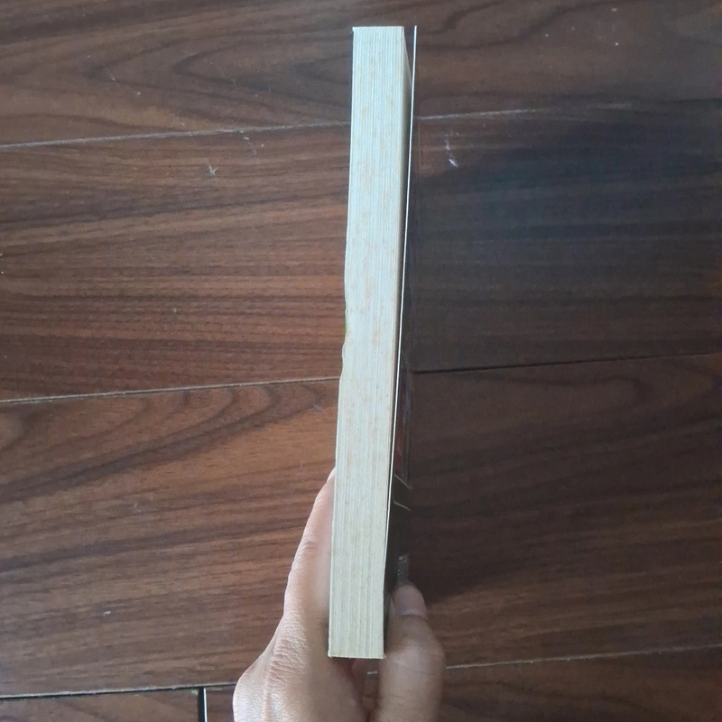 Ngày cuối cùng của thành phố Pompeli 524038