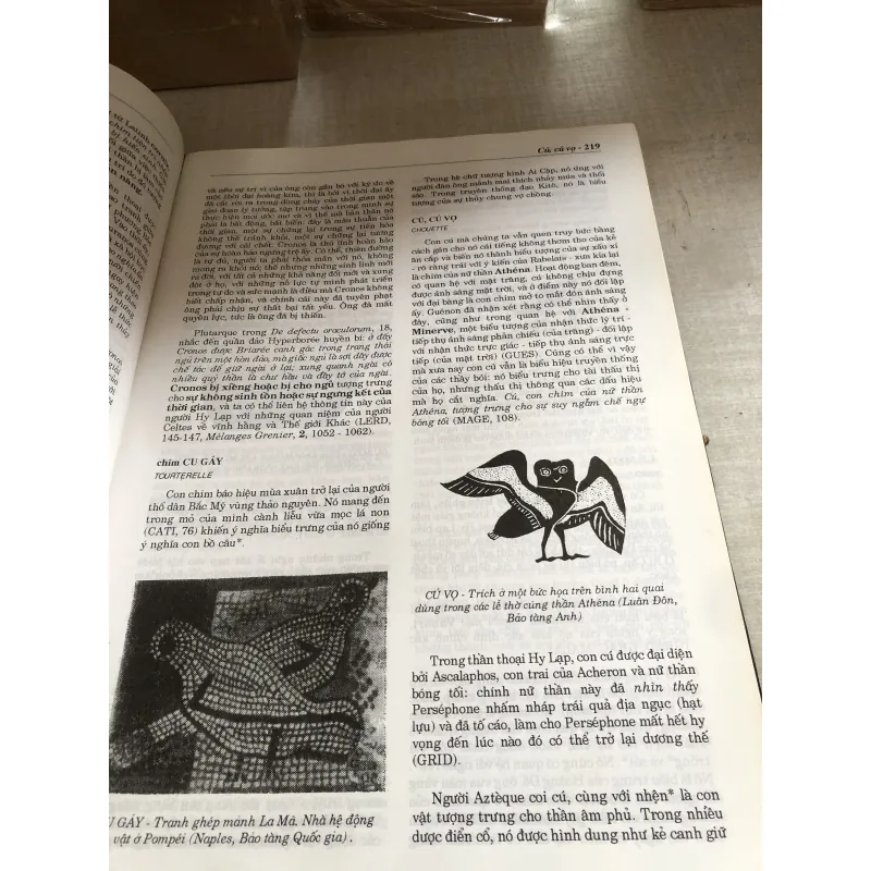 Từ điển biểu tượng văn hoá thế giới 785043