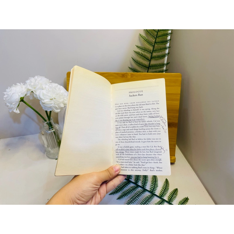 [Sách 2hand từ US] Like new 90% - The Maestro – Tim Wynne-Jones 477993