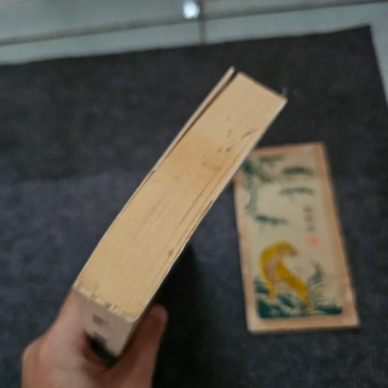 Ngày tháng thênh thang - Bửu Ý 737222