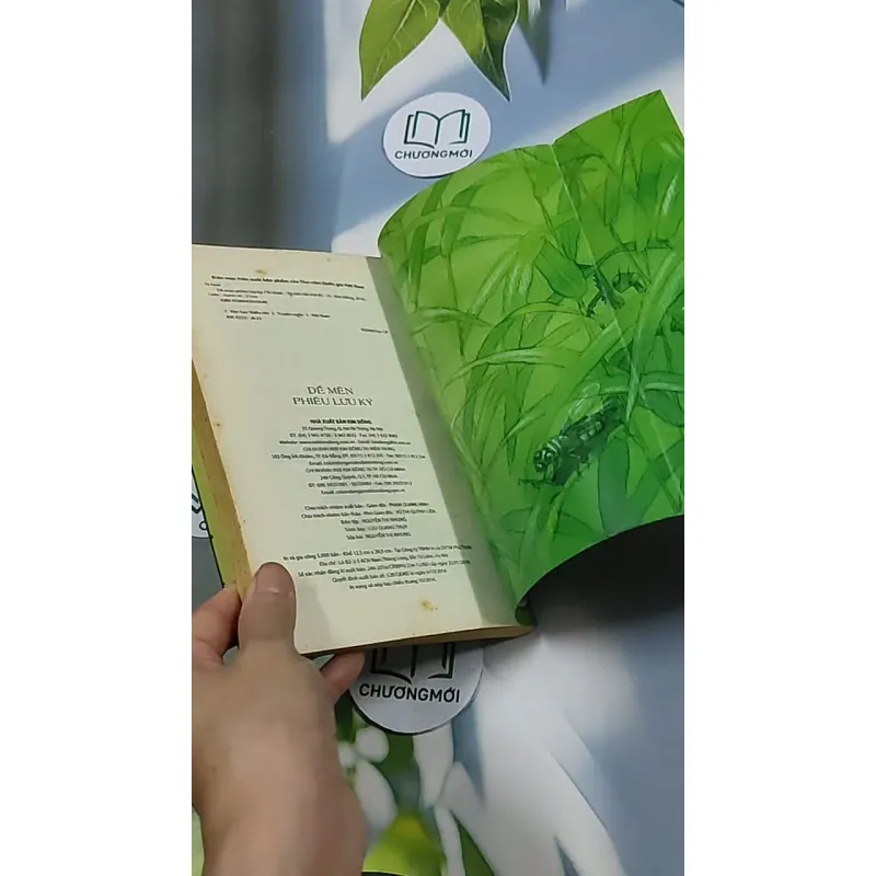 Dế Mèn phiêu lưu ký 698592