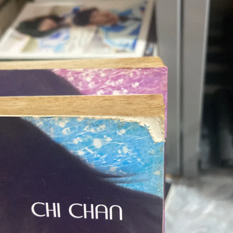 Thiên thần sa ngã - Chi Chan 961659