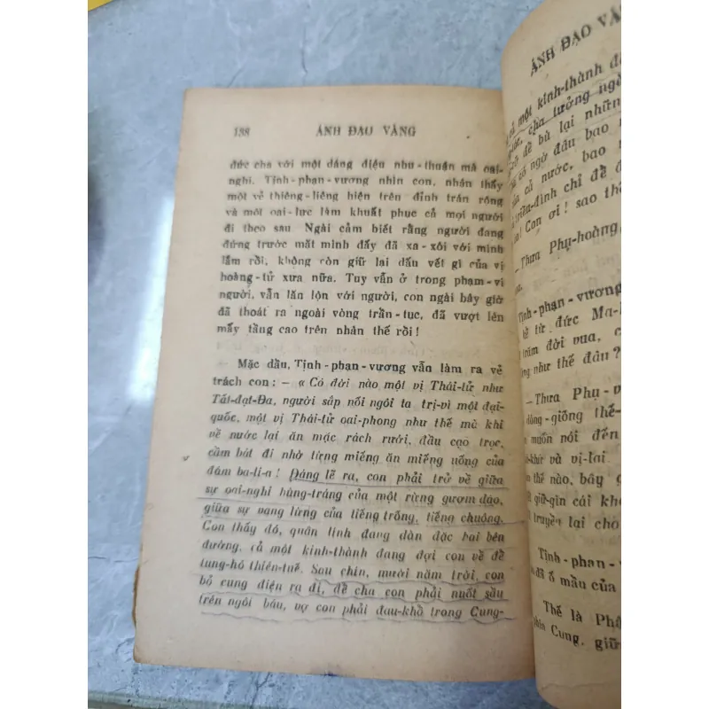 ÁNH ĐẠO VÀNG 592899