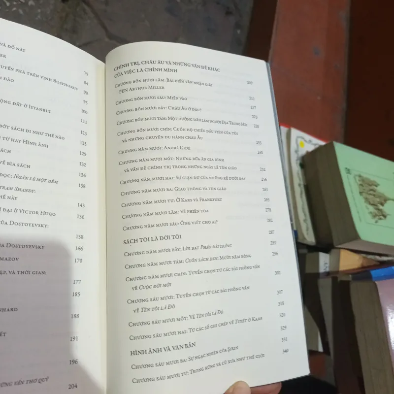 Tiểu Luận Những Màu Khác - Orhan Pamuk 759255