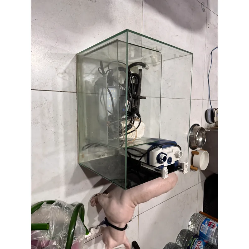 Hồ cá 40x30 cần bán (tặng hồ nhỏ) 596345