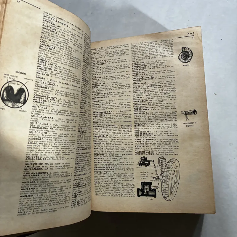 Larousse Ilustrado (sách trước 75) 1017979