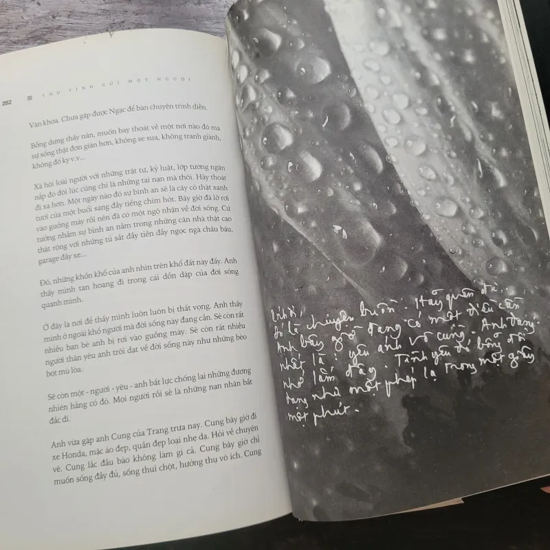 Thư tình gửi một người - Trịnh Công Sơn 1001992