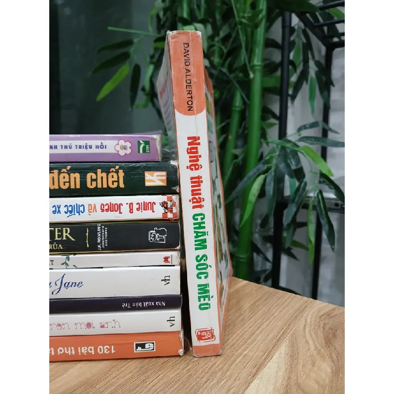 Nghệ thuật chăm sóc mèo – David Alderton 574085