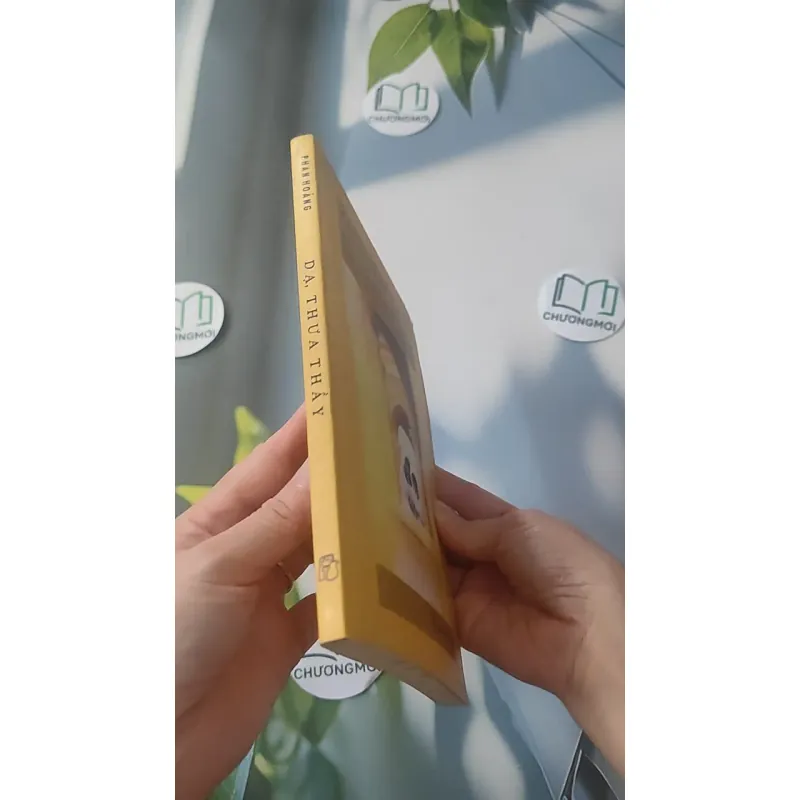 Dạ, Thưa Thầy - Phan Hoàng 928525