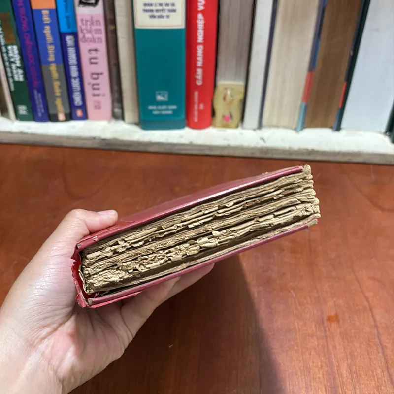 II Sách Phật Giáo: Lương Hoàng Sám (Cuốn 6•10) - PL. 2516•1972 800339