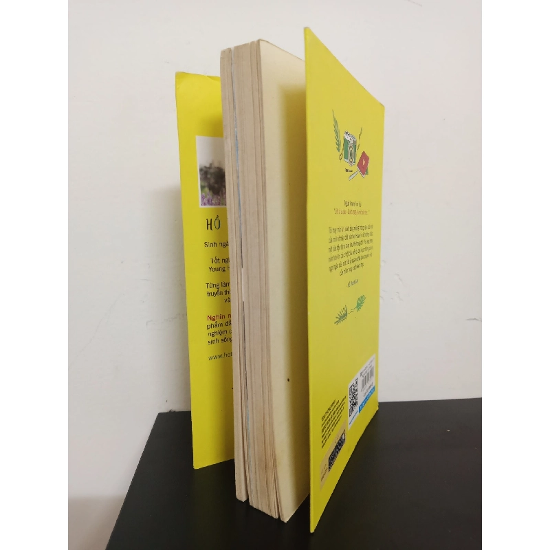 Nghìn Ngày Với Hawai'i - Hồ Thanh Lan New 90% HCM.ASB2112 912920