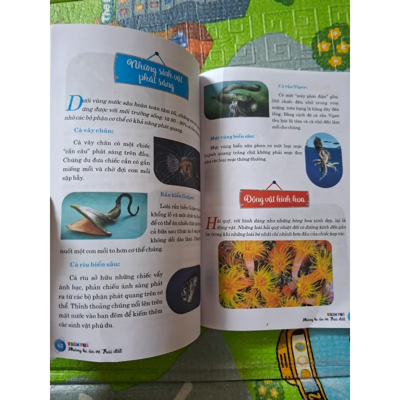 Khám Phá Những Bí Ẩn Về Trái Đất 1032375