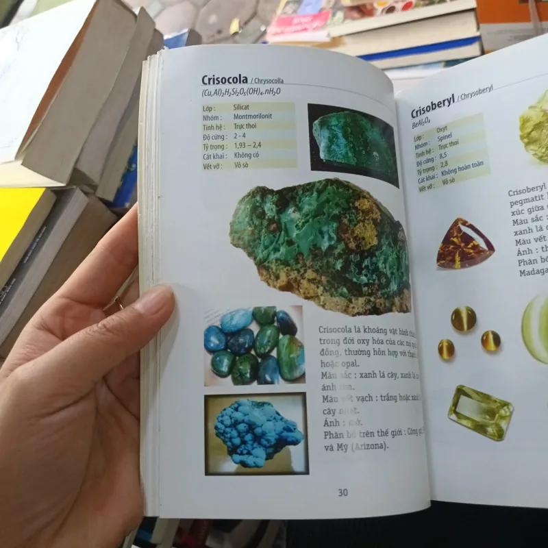 Sổ tay người chơi đá - Đỗ Đức Quang 926968