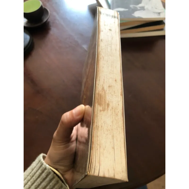 Ramses Hoàng Đế Minh Triết Ai Cập 775960