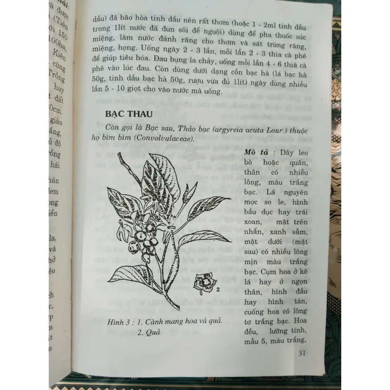 CÂY THUỐC TRỊ BỆNH THÔNG DỤNG - PTS. VÕ VĂN CHI 996132