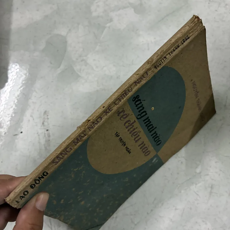 Sáng mai nào, xế chiều nào - Nguyễn Thành Long 1025146