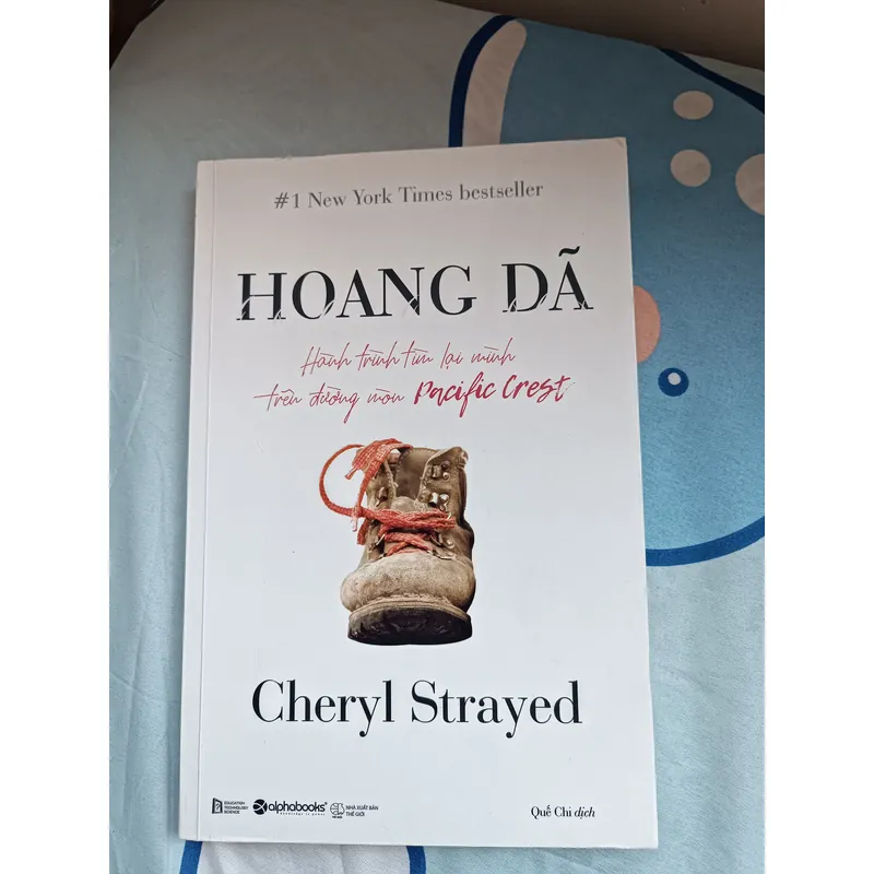 HOANG DÃ - Hành trình tìm lại mình trên đường mòn Pacific Crest 593744