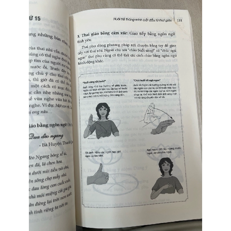 40 tuần thực hành thai giáo 12 tháng thắp sáng thiên tài - Vương Kỳ 937420
