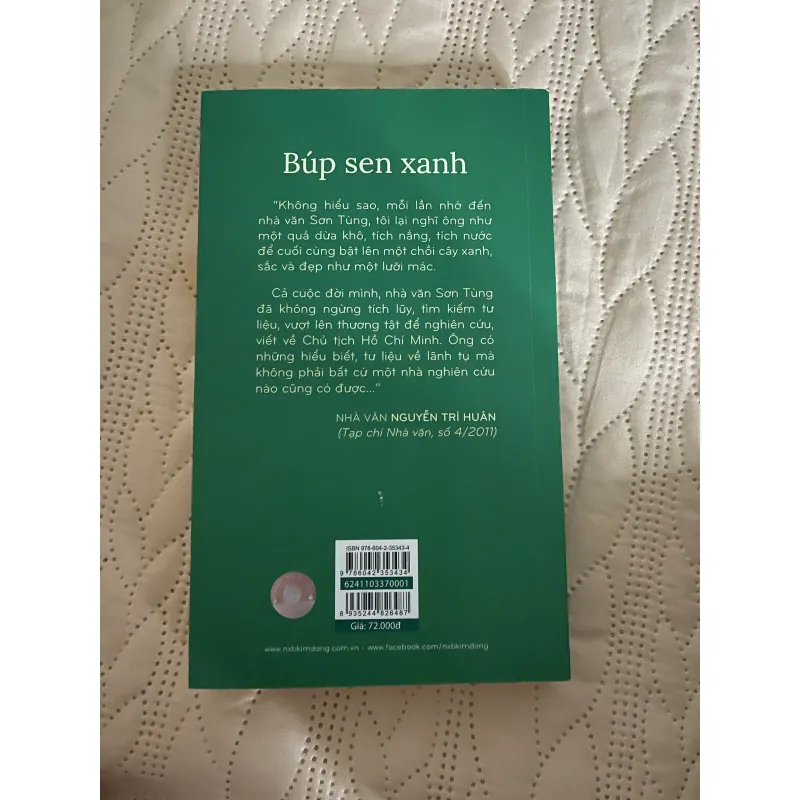 Búp sen xanh 931385