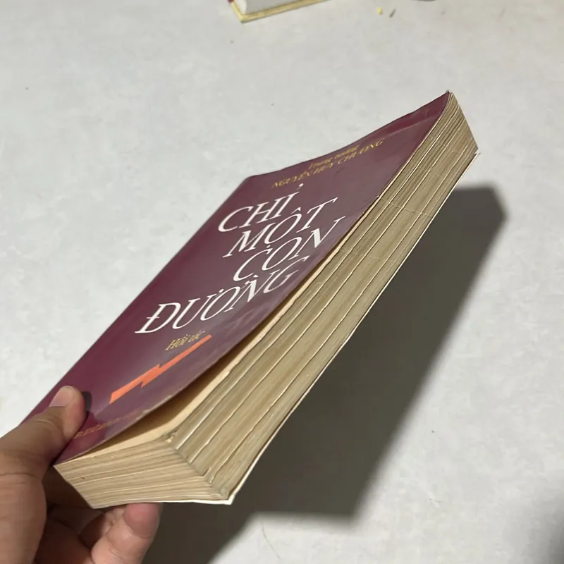 Chỉ một con đường - Trung Tướng Nguyễn Huy Chương 567908
