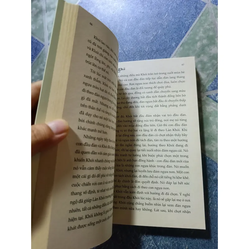 Làn khói - Will James 1025935