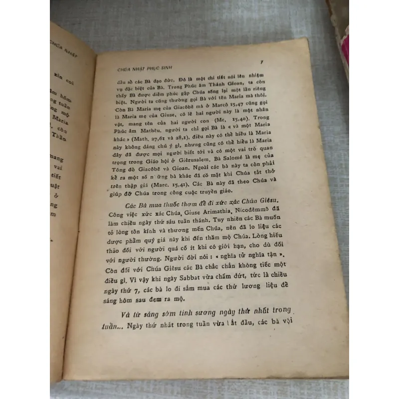 Phúc âm Chúa Nhật 995100