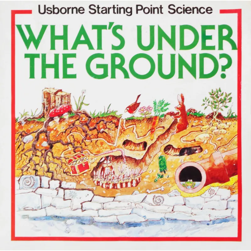 What's Under the Ground ? (Usborne Starting Point Science) 270574