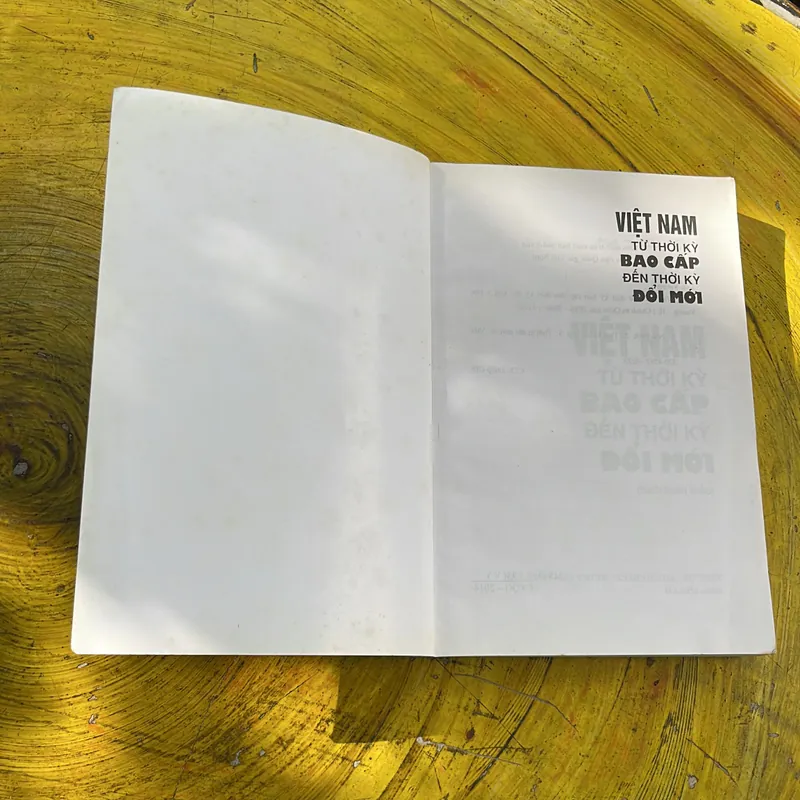 VIỆT NAM TỪ THỜI BAO CẤP ĐẾN THỜI KỲ ĐỔI MỚI- PGS.TS. ĐỨC VƯỢNG 673725