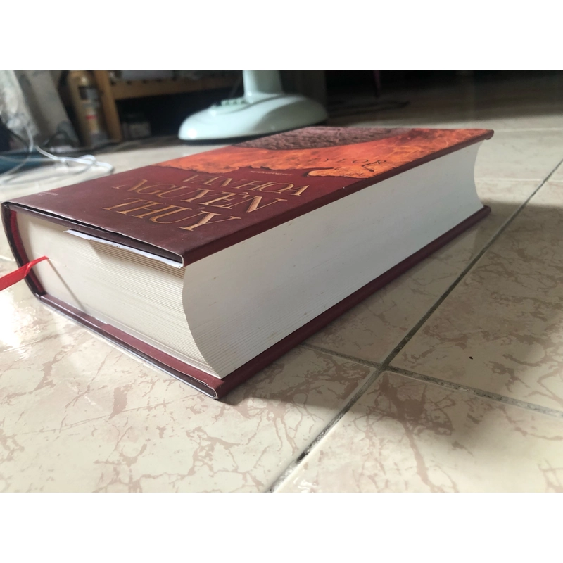 Văn hoá nguyên thủy - E B Tylor (mới) 323426