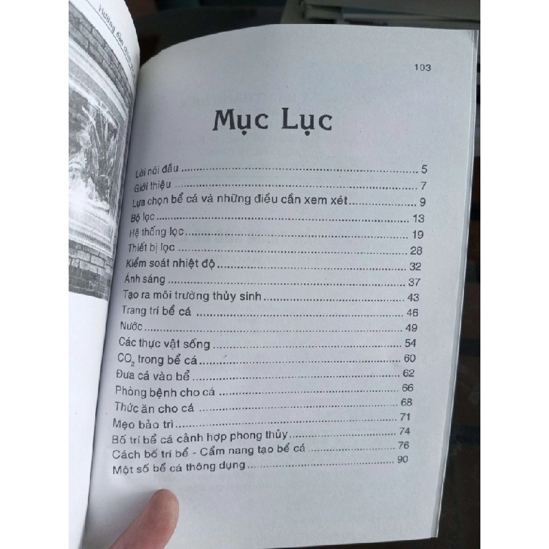 Hướng dẫn chăm sóc bể cá - Trí Tuệ 2011 (Sách kỹ năng) VAVO1304-A0 1012194