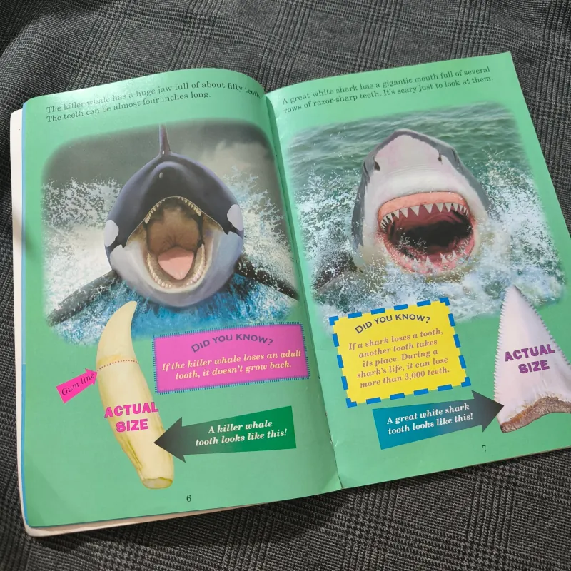 Who Would Win? Killer Whale vs. Great White Shark - Jerry Pallotta 754576