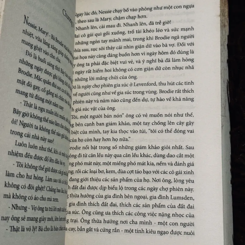 Lâu đài người bán nón 999301