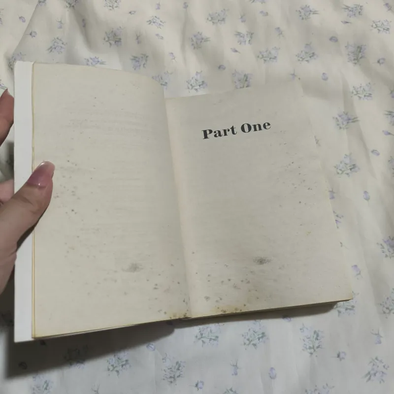 It ends with us - Colleen Hoover 1018990