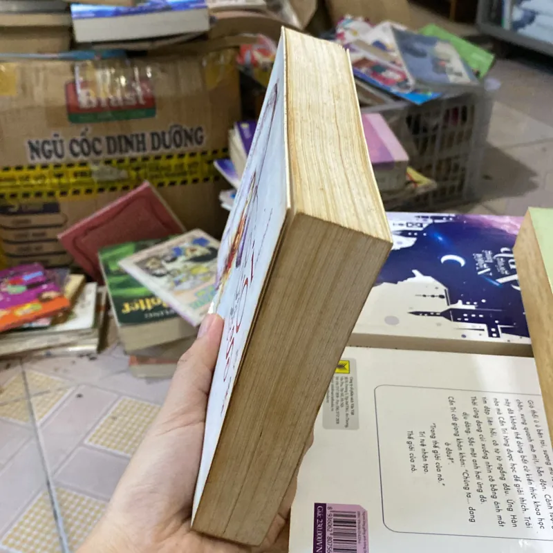 Ngủ cùng sói của tác giả Diệp Lạc Vô Tâm 1043551