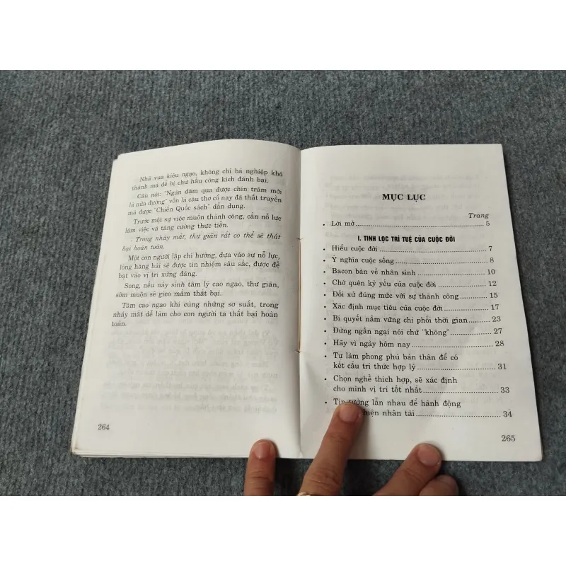 TRÍ TUỆ CỦA SỰ THÀNH CÔNG 716732