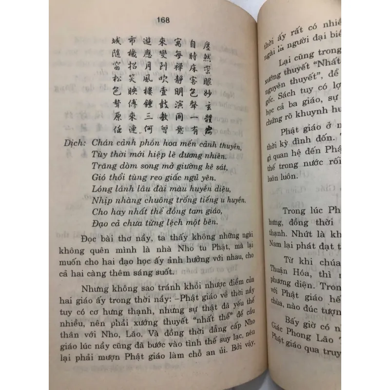 Việt Nam Phật Giáo Sử Lược - Mật Thể 762805
