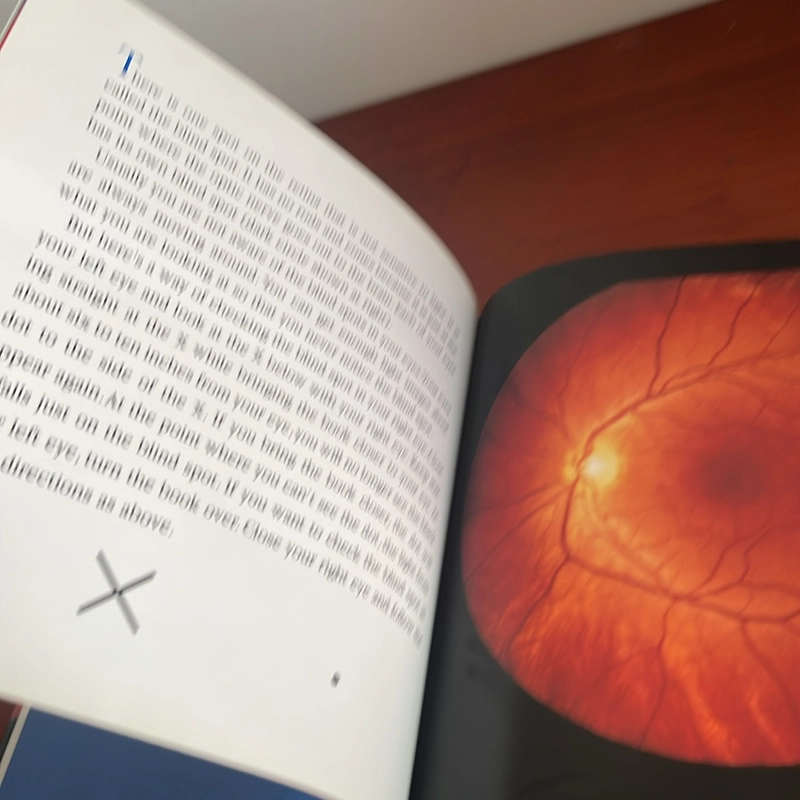 PICTURE BOOK Eyes and ears 536687