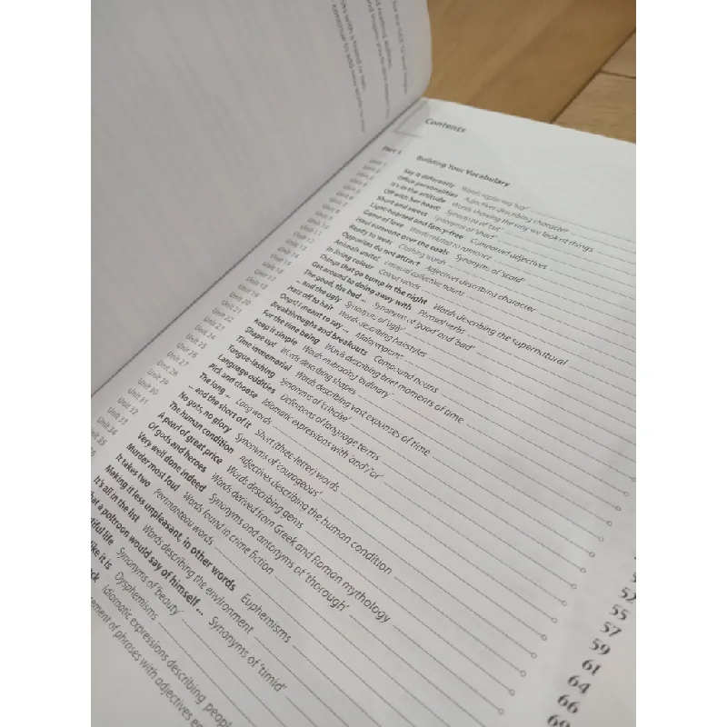 Power-packed vocabulary - Ho Lin Lee & Irene Yeow 688858