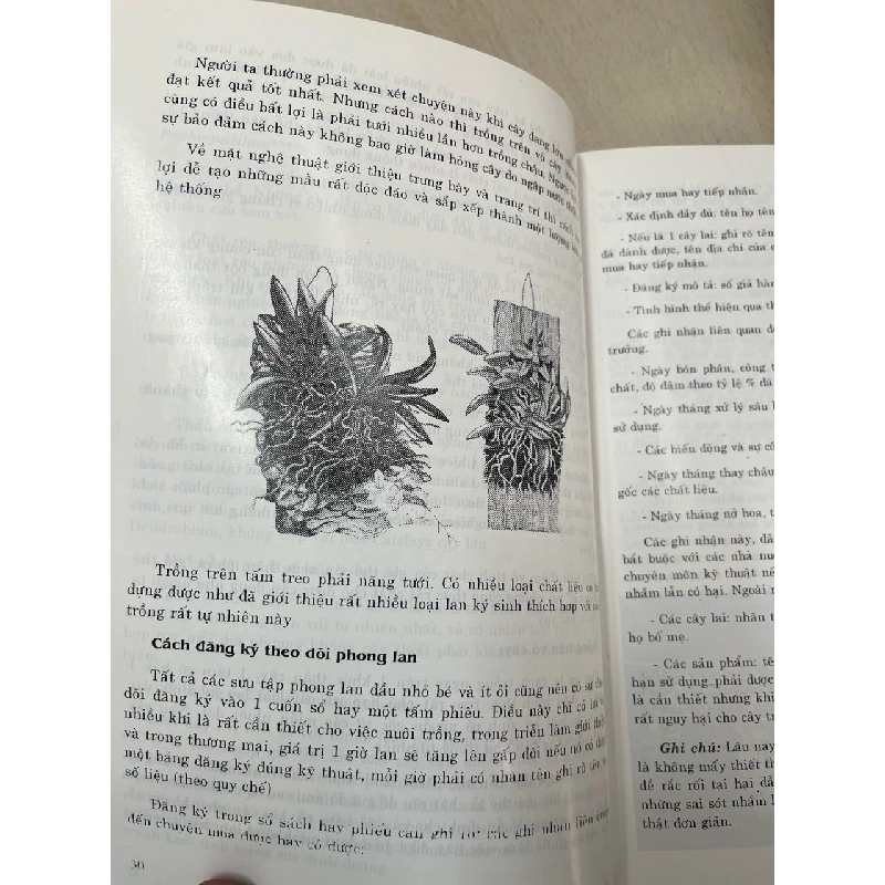 Kỹ thuật nuôi trồng phong lan - Trần Văn Bảo 994441