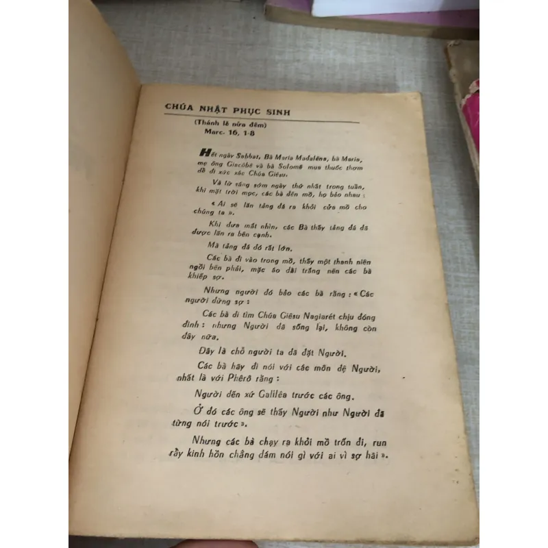 Phúc âm Chúa Nhật 995100