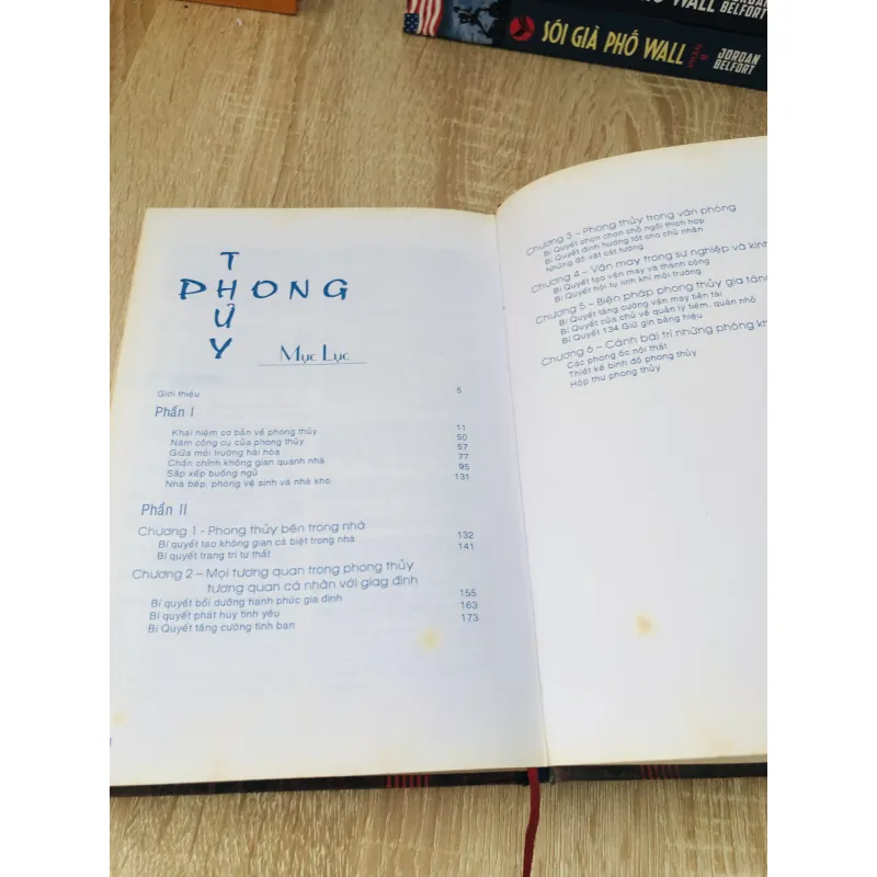 Mỹ thuật trong thiết kế và xây dựng nhà ở theo phong thủy hiện đại – Lý Liên Tử 925812