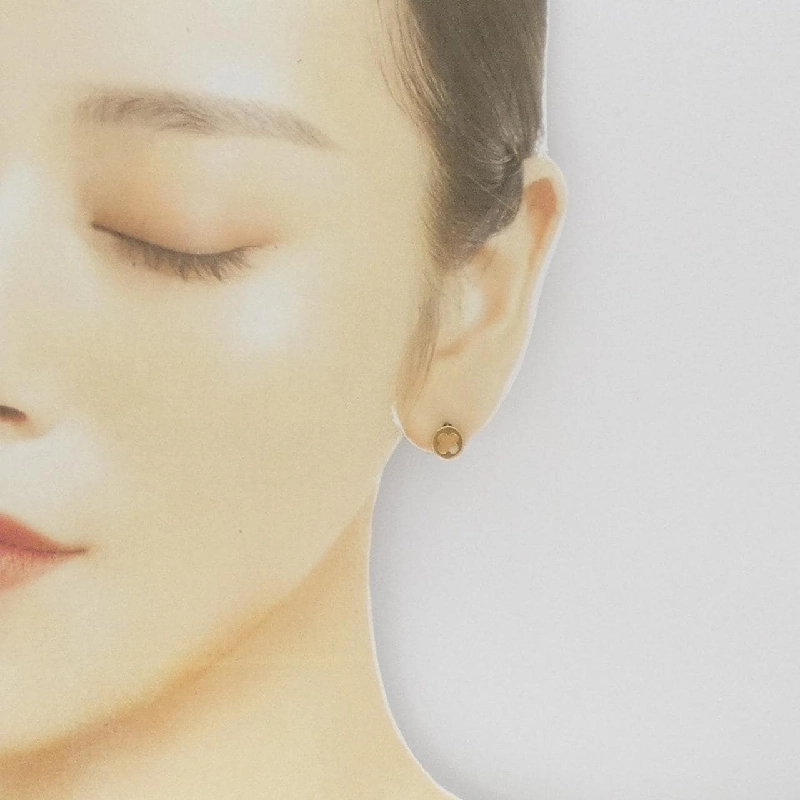 Bông tai Louis Vuitton Pous Amprant 666053