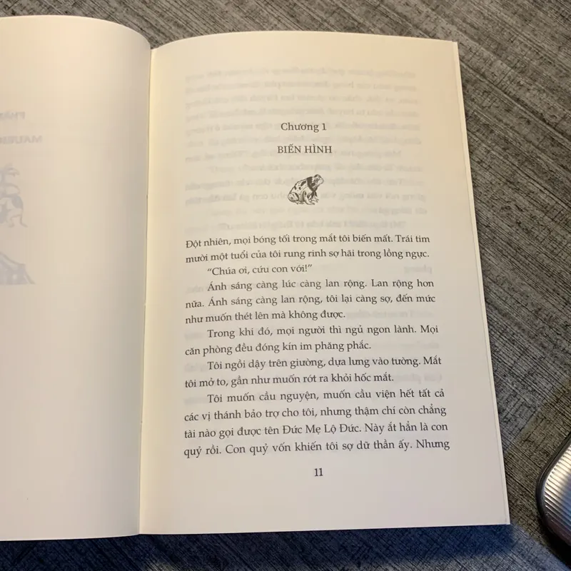 Sưởi Ấm Mặt Trời - José Mauro De Vasconcelos (Phần tiếp theo của Cây Cam Ngọt Của Tôi) 730437